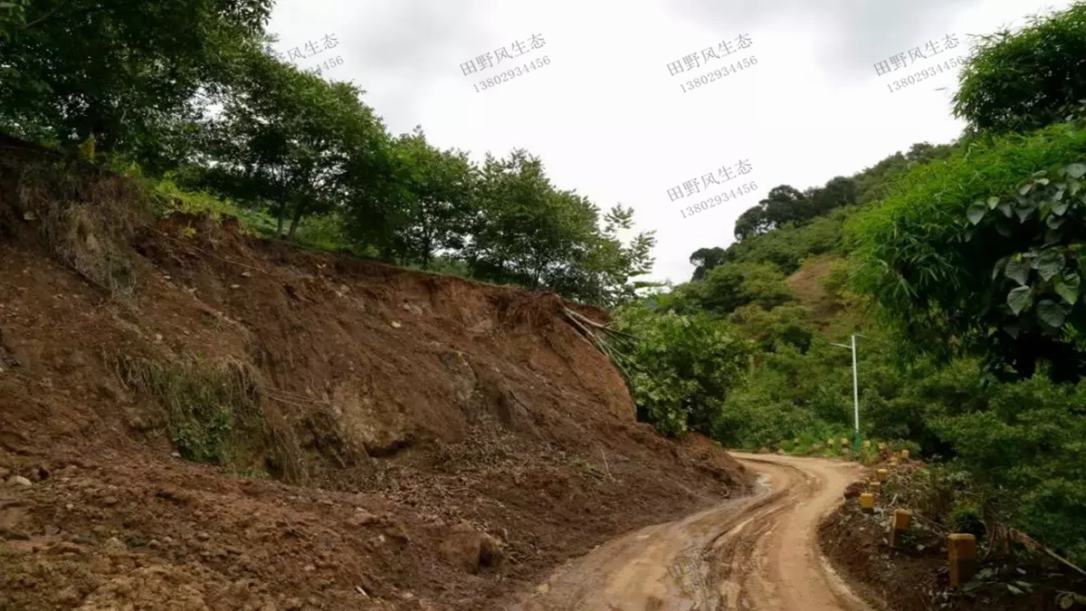 種植什么草種草籽可以預防護坡水土流失？