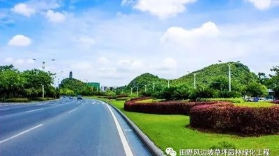 道路綠化中，城市干道植物應怎樣配置？