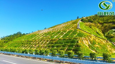 護(hù)坡綠化種草,綠化噴播機(jī)