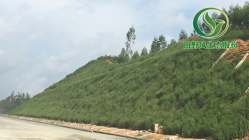 高速公路綠化，生態(tài)防護