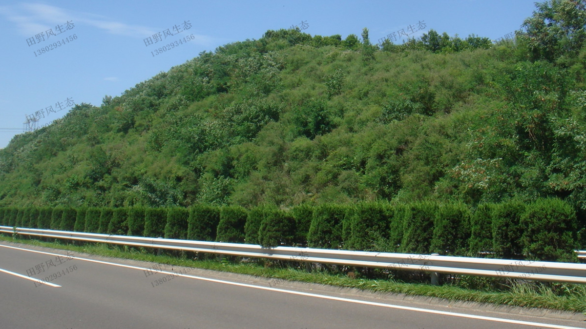 植生袋綠化技術(shù)在邊坡生態(tài)修復工程中的應用