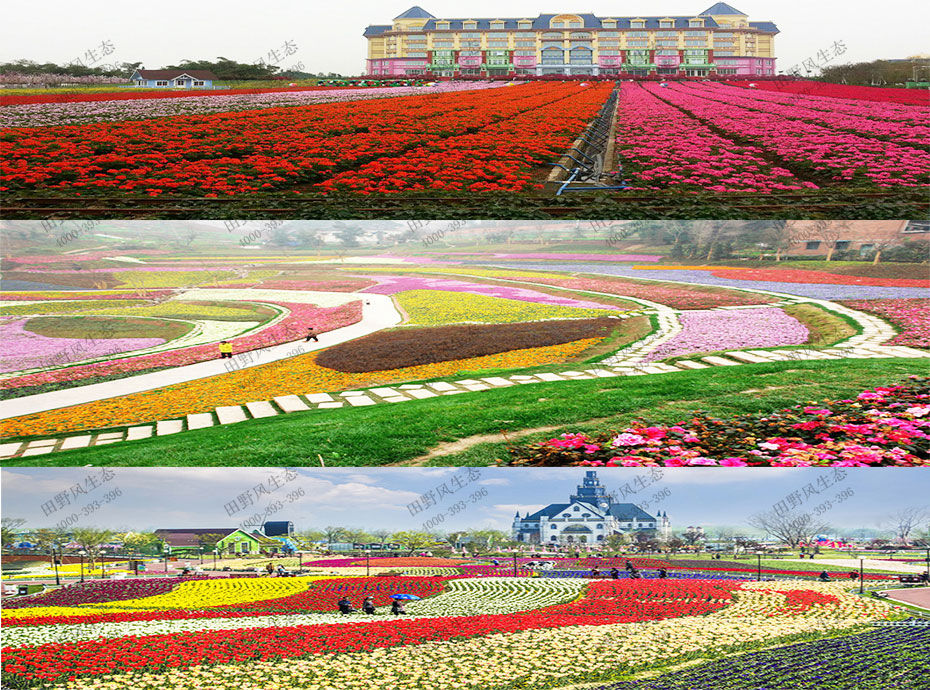 花海景觀解決方案