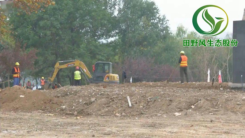 園林綠化，景觀綠化