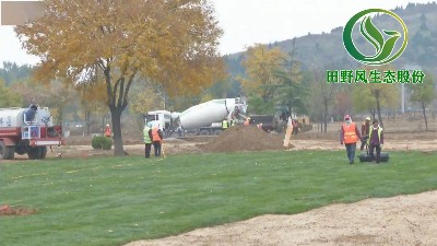 濱州鄒平升級(jí)景觀綠化建設(shè)，打造綠色生態(tài)景觀