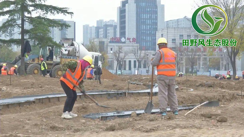 園林綠化，景觀綠化