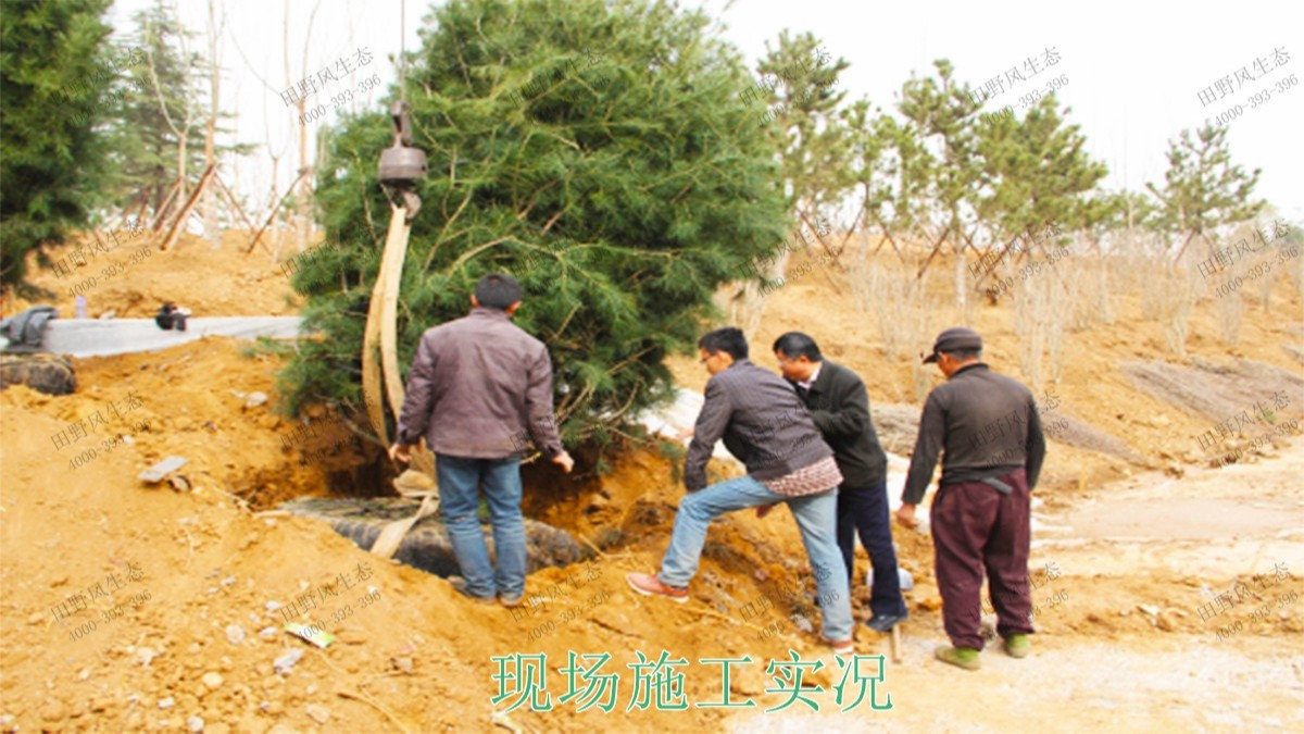 仁化縣董塘河道生態(tài)治理工程