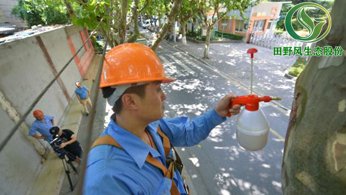 廣州市白云區(qū)綠化養(yǎng)護,園林綠化