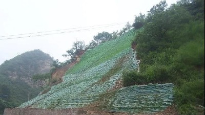 生態(tài)袋——環(huán)境保護(hù)、生態(tài)綠化、水土保持三位一體的生態(tài)護(hù)坡系統(tǒng)