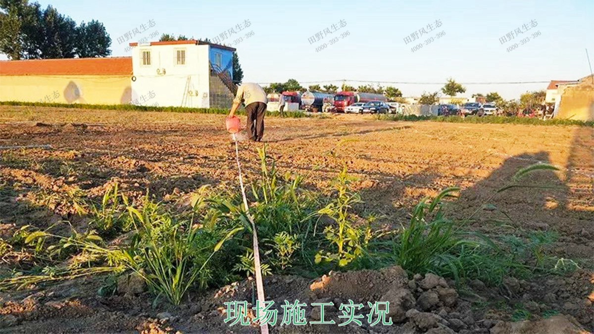 廣西北海市景區(qū)花海工程