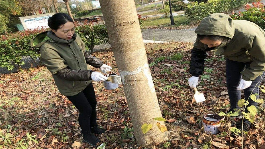 室外植樹(shù)除蟲(chóng)