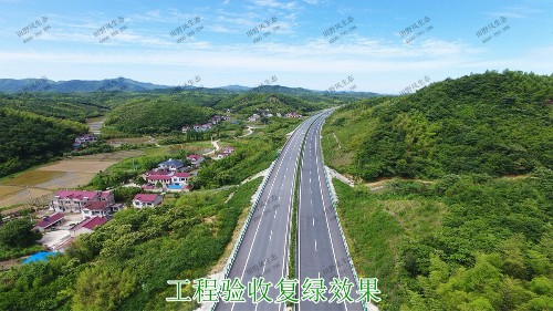 汕湛高建揭博段高速公路邊坡復綠