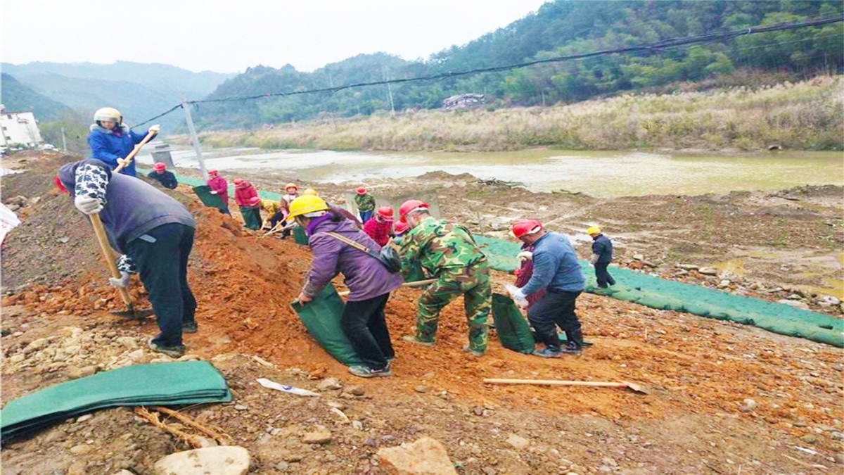 紫金縣秋香江河道河堤邊坡綠化工程