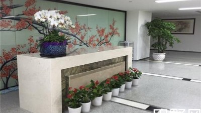 辦公室綠植租擺價(jià)格一般要多少？