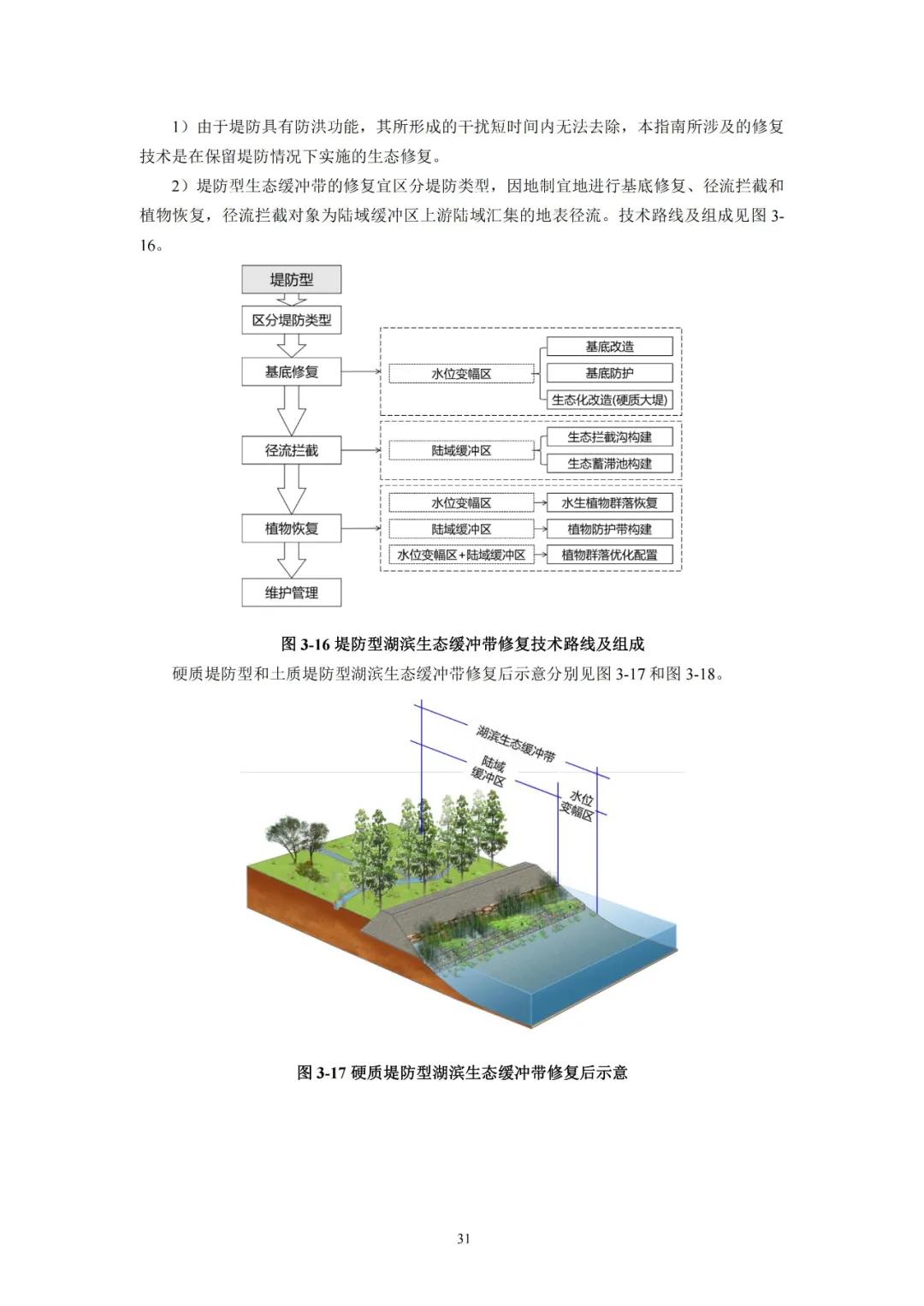 河湖生態(tài)緩沖帶保護修復(fù)