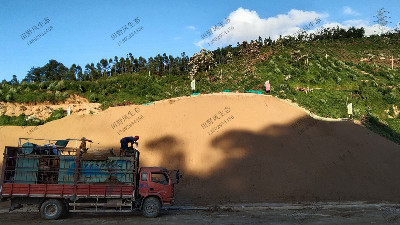 銀洲湖高速邊坡復(fù)綠工程