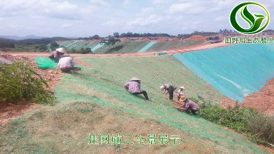 三維土工網(wǎng)邊坡植草技術(shù)