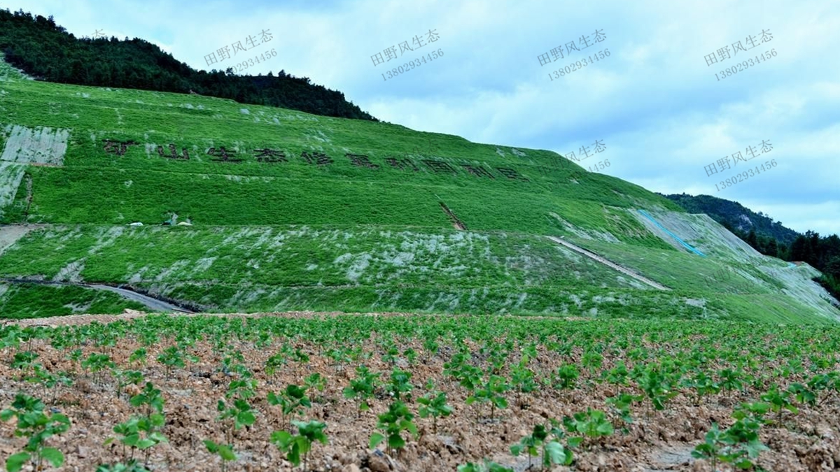 生態(tài)修復