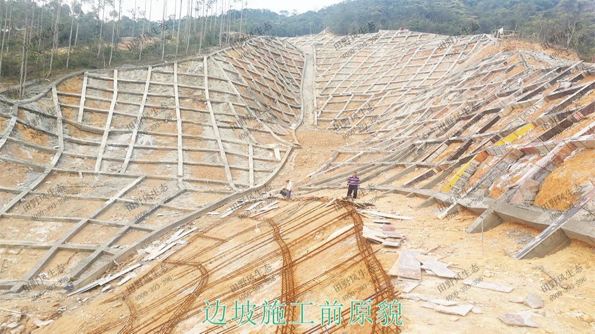 海豐蓮花山山體滑坡地質(zhì)災(zāi)害邊坡噴草