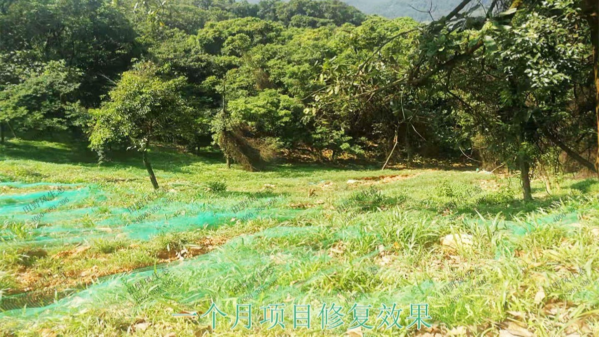 廣州白水山森林公園生態(tài)修復(fù)