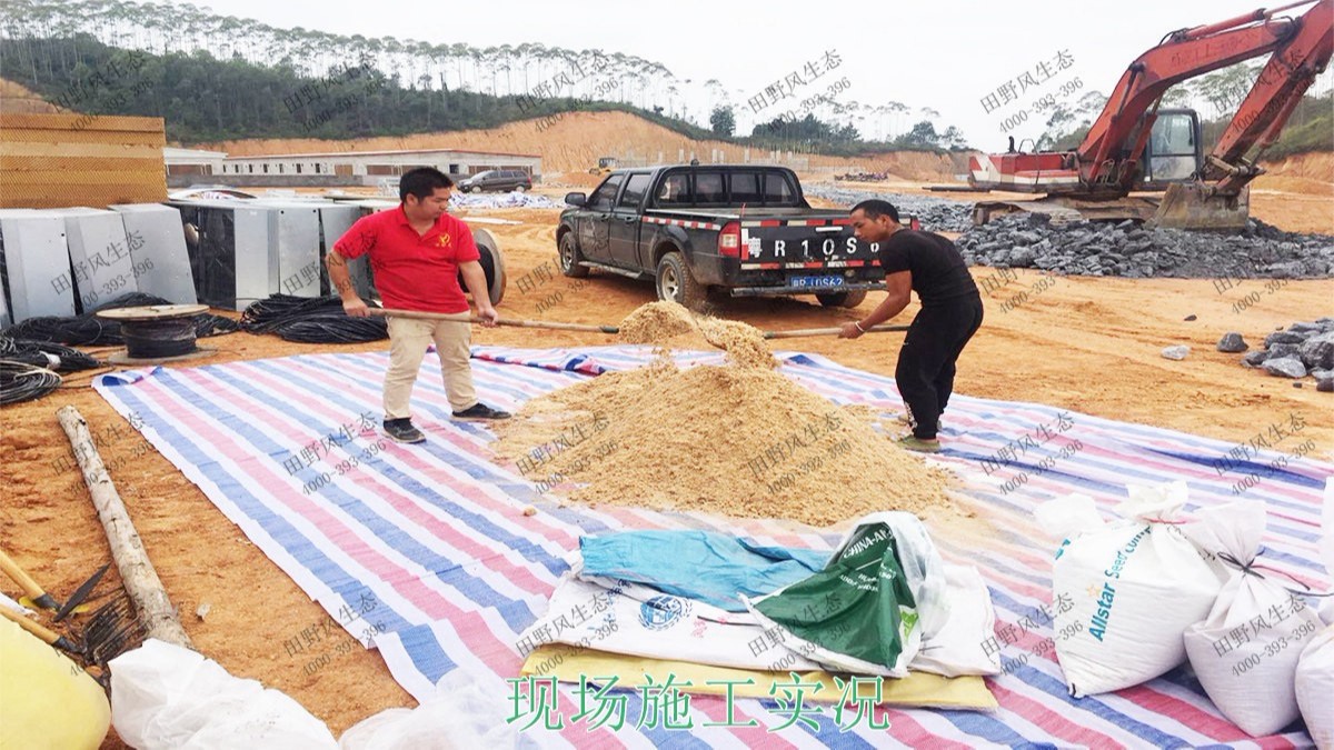 海大集團養(yǎng)豬基地邊坡復綠