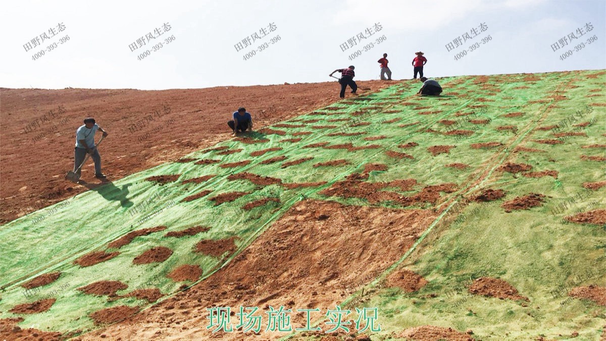 海大集團養(yǎng)豬基地邊坡復綠