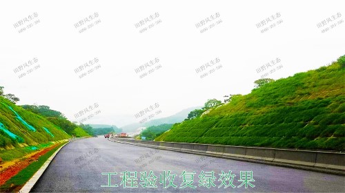 平興高速五華段公路邊坡掛網(wǎng)復(fù)綠