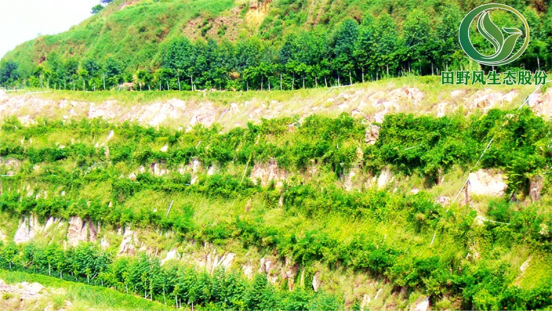 礦山生態(tài)修復(fù),植被修復(fù)