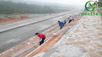 高速公路綠化，有哪些方法與竅門呢？